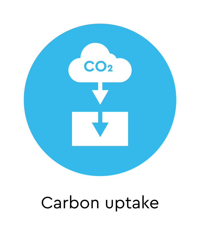 Carbon Uptake : GCCA