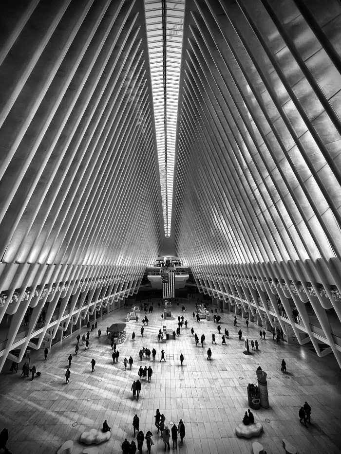 Beauty and Design