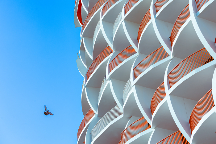 Beauty and Design